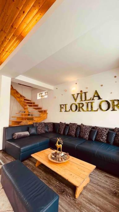 Vila Florilor Busteni Exterior photo